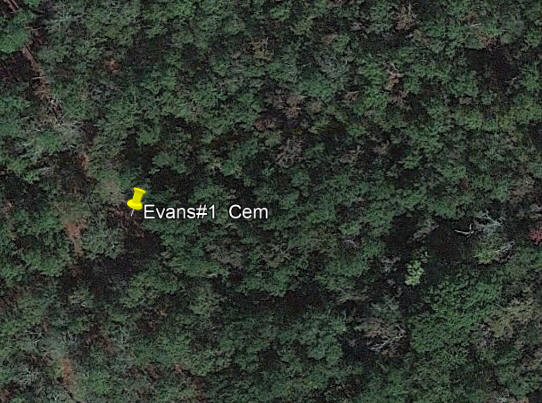 Overview of Evans Nr1 Cem